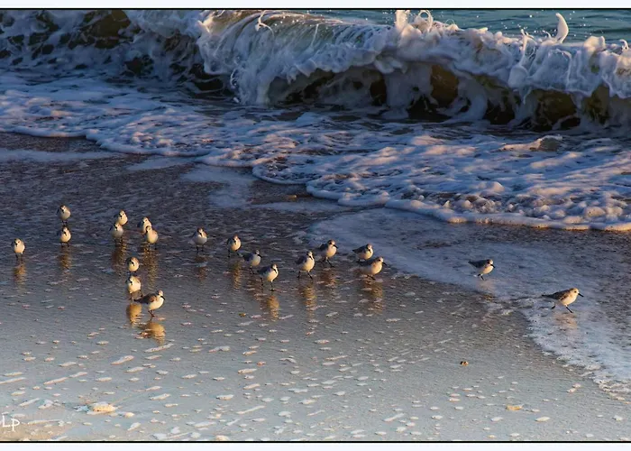 בית הארחה La Vigie - Maison En Bord De